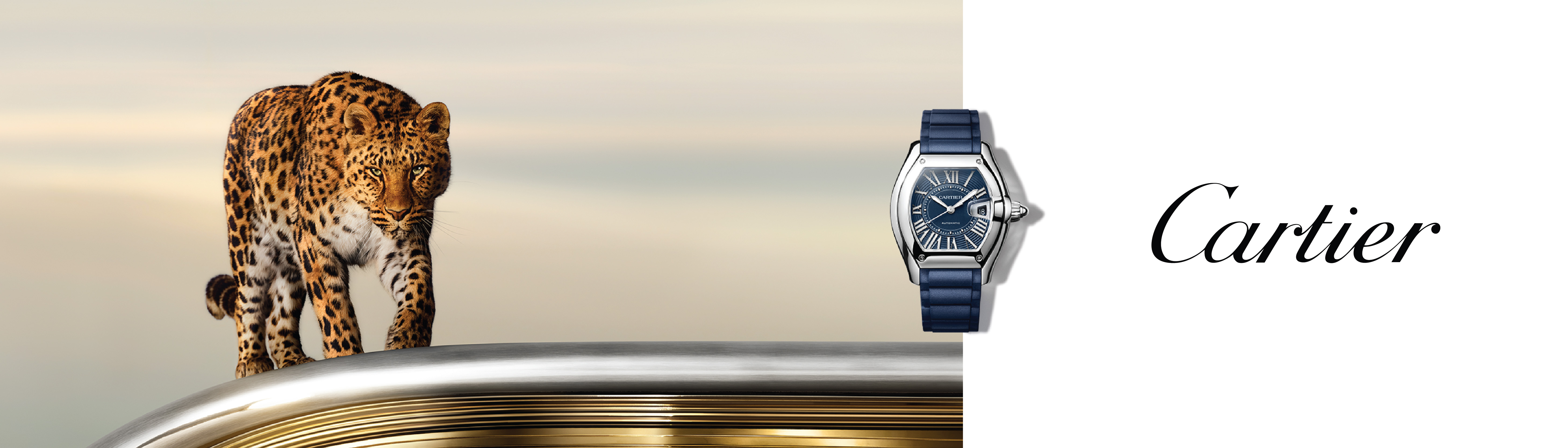 Cartier Cartier