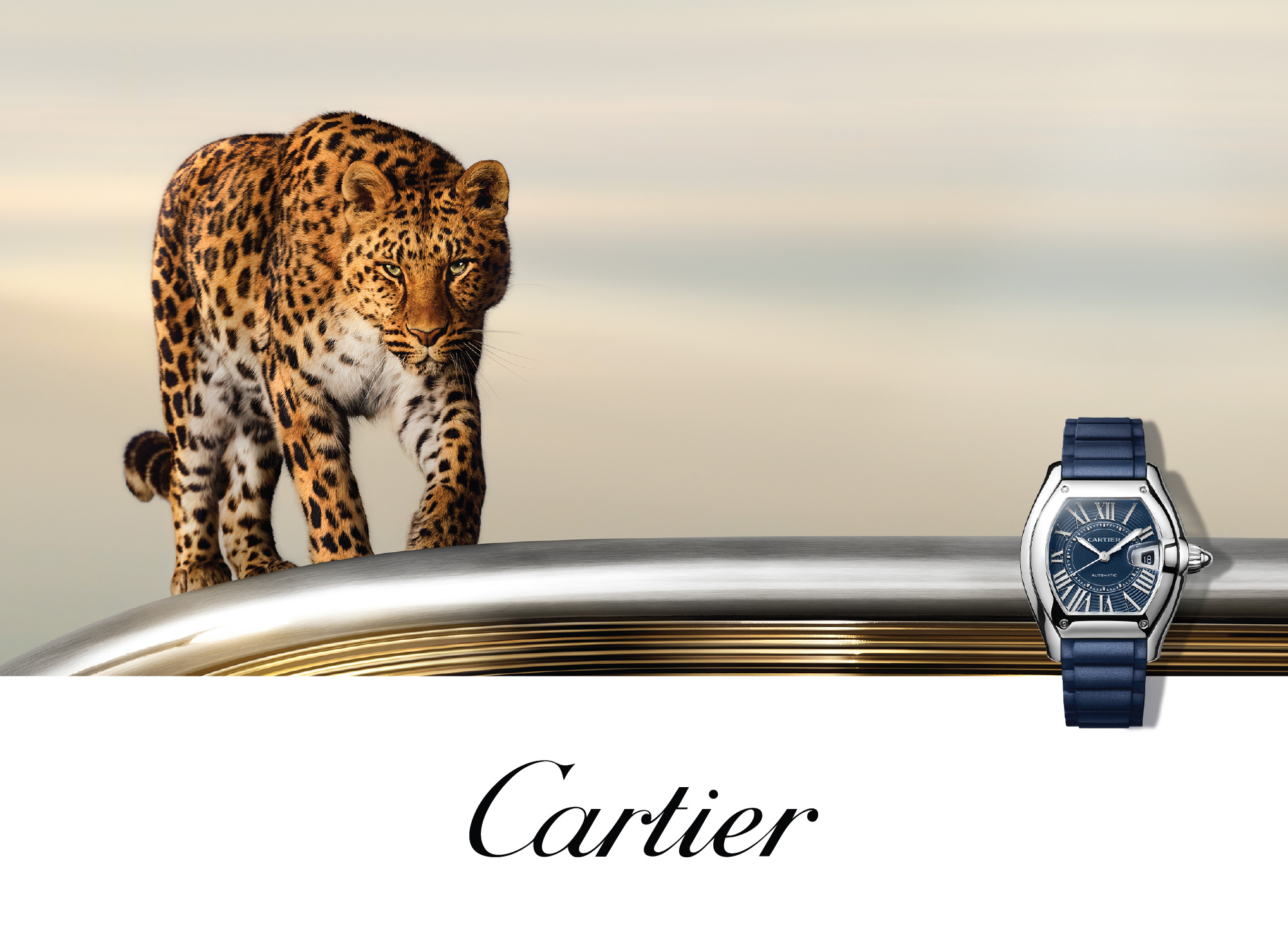 Cartier Cartier