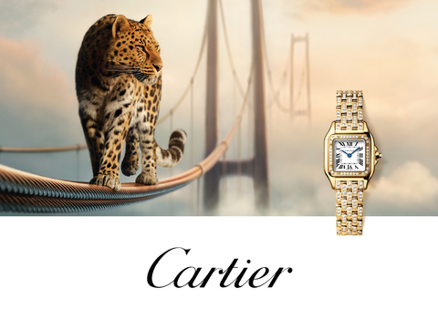 Cartier Cartier