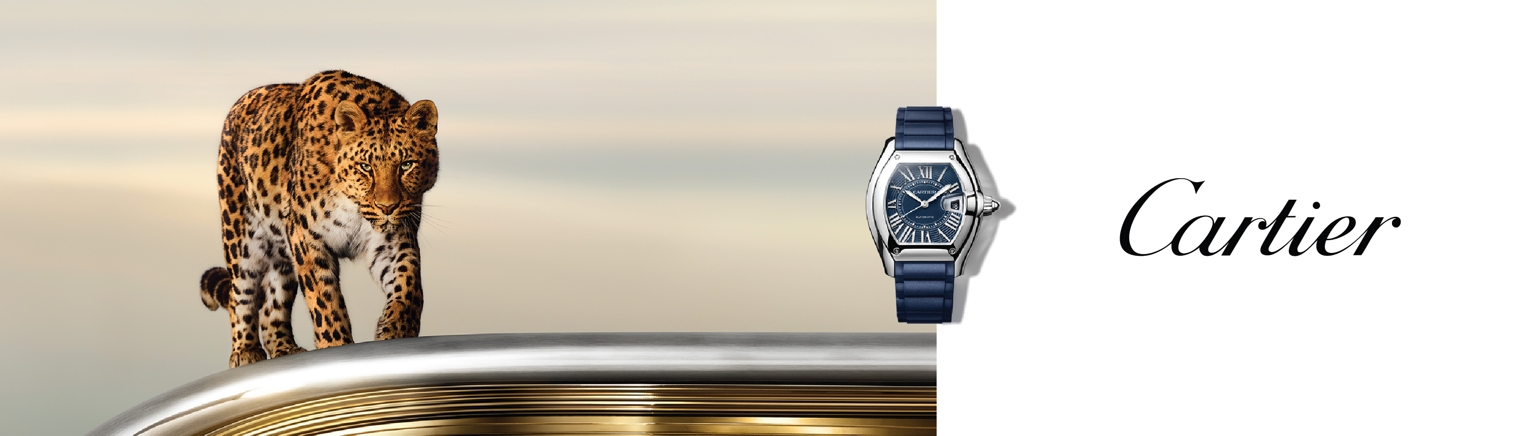 Cartier Cartier