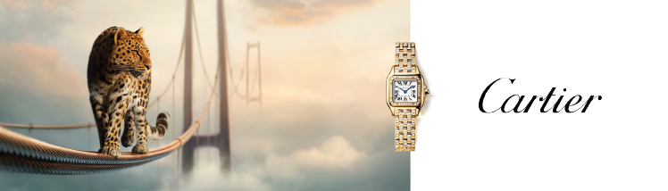 Cartier Cartier
